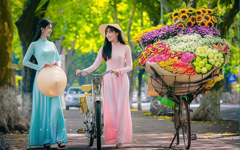 Vietnam's Awarded Destinations: Unveiling 2023's Travel Gems